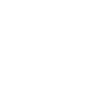 lion-landscapes.co.uk